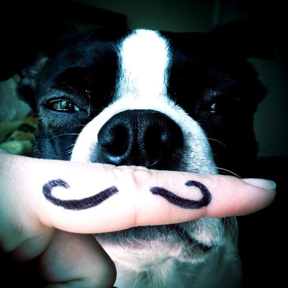 Meet your Posher, Cena - Picture 5 of 6